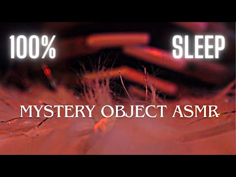 No Talking ASMR:Unlocking Deep Sleep withTapping & Scratching)