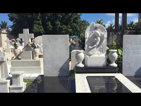 ASMR Unintelligible Walk at Cemetery