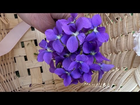 An old-fashioned Victorian craft 💜 (to calm your nervous system)