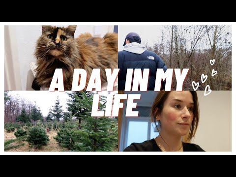 ASMR deutsch | A Day In My Life ✨Vlog (Christmas Edition) Baum Kaufen Mit Family Voice Over german