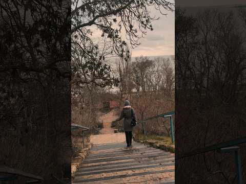 тгк: SS_ASMR