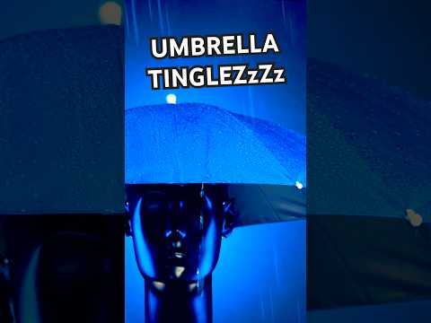 UMBRELLA TINGLEZzZz ☔️ #asmr #shorts
