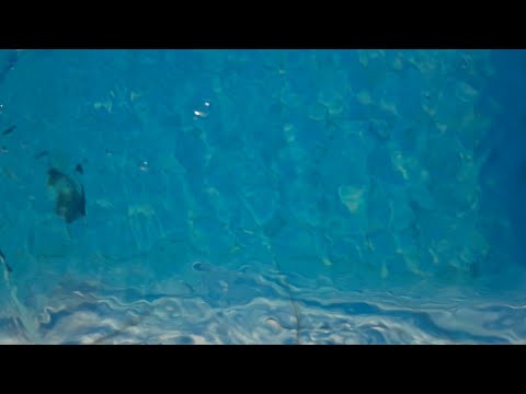 ASMR som de água 💦  #asmrwatersound 