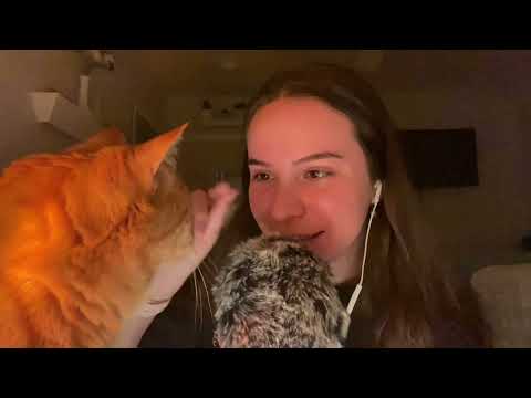 ASMR Kitty Tingles (Purring, Brushing)