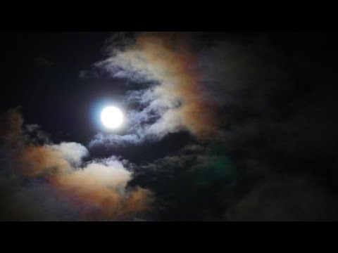 [ASMR] Ten Binaural Trigger Words
