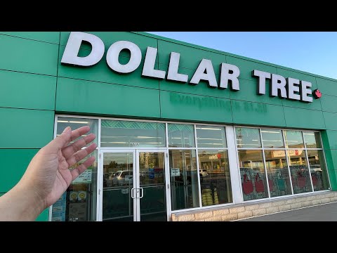 ASMR ~ ORGANIZING DOLLAR TREE SHELVES NO TALKING