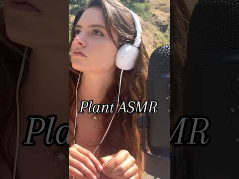 Plants & Rapids ASMR🌊🌱 #asmr #natureasmr #waterfall