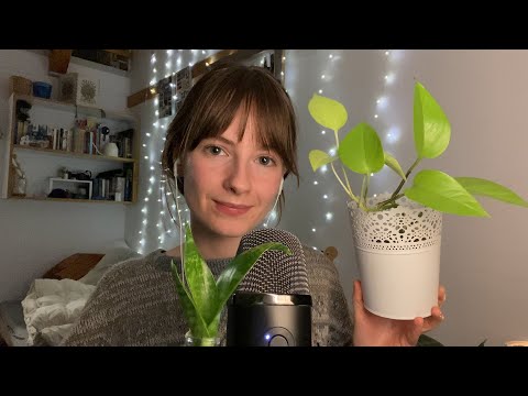 ASMR | PLANTS 🪴🌱🪻 rambling, close up whispers, tapping, blue yeti