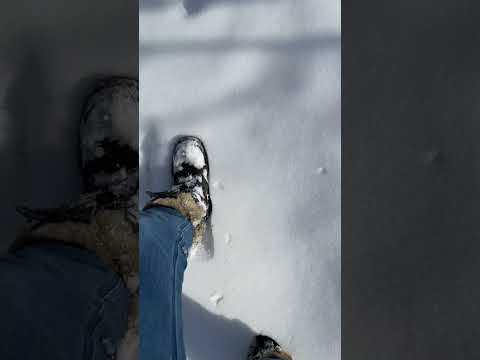 Walking in the snow #asmr
