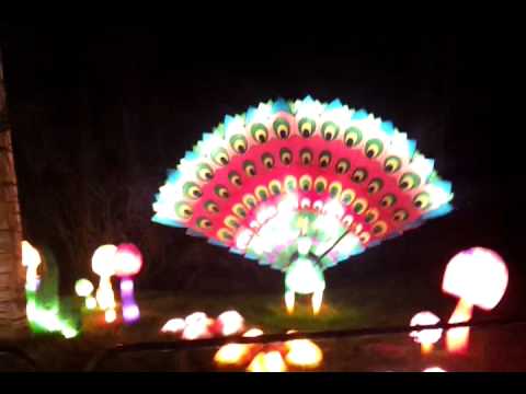 festival of lights  II