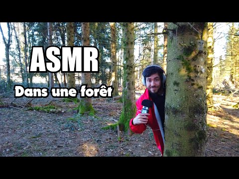 Faire un ASMR dans une forêt en Hiver