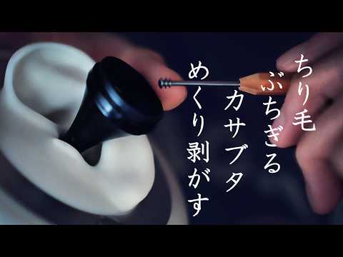 【ASMR 無言】ヂリヂリなムダ毛をぶっちぎる。頑固なカサブタで塞がれた鼓膜は呼吸困難。剥がしたカスも一つ残らず、ねたくりこねくって掻き出すね。な、シチュエーション的耳掃除。