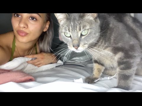 ASMR W MY BBY🐈‍⬛