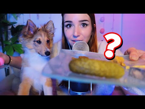 ASMR 🐶 Mon chien SUN goûte des aliments pour la première fois ! 🐶puppy dog dégustation
