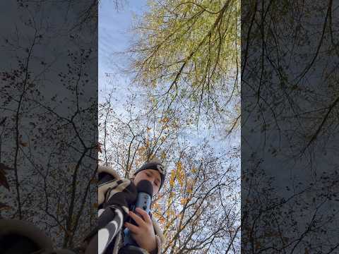 PUBLIC ASMR | roaming around the castle PART 2 #viralasmr #natureasmr #personalasmr #visualtingle