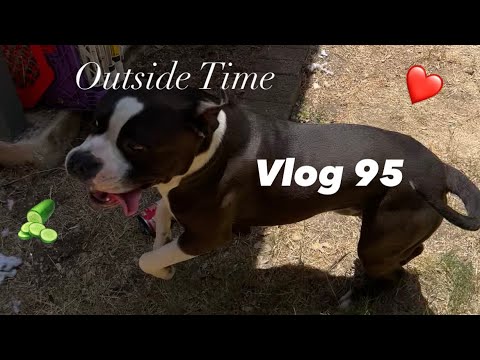 VLOG #95 - Tag You’re It