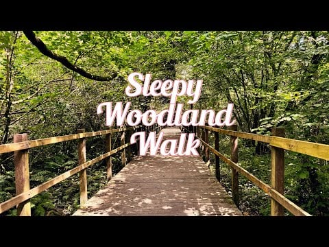 Drift to Sleep in the Forest 🌙 ASMR Whispered POV Walk 