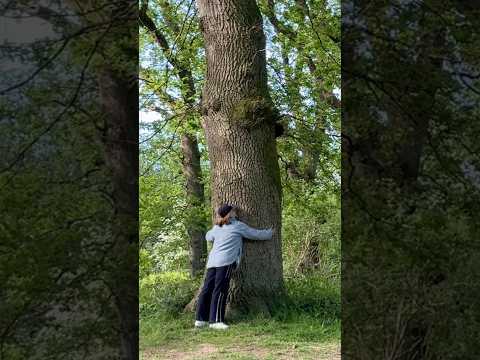 ASMR Forest Bathing