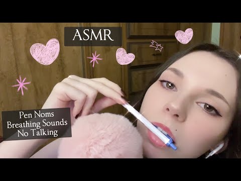 ASMR 💫🖋️ Pen Noms 😋 ┊ Mouth Sounds, Tapping, Breathing, No Talking