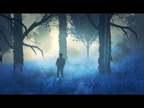 Relaxing Night Ambience for Sleep