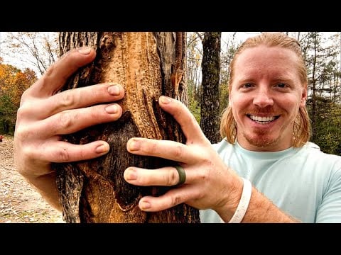 ASMR | Giving A Tree A Massage