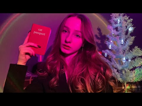 ☀︎ ASMR паспортный контроль в мире снов ☀︎