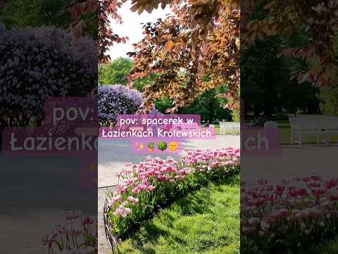 zapraszam na spacerek ✨🩷 #lifestyle #vlog #spacer #natura #lazienkikrolewskie #inspiracja