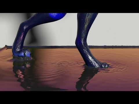 Walking Through Fluid test ( x0.5 playback reccomended)