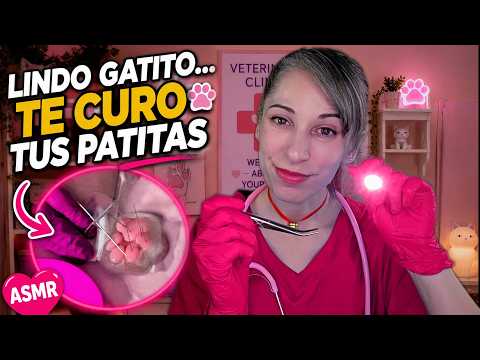 ASMR | Eres un Lindo Gatito pero...Te quito espinitas 🐾 Atención Veterinaria relajante