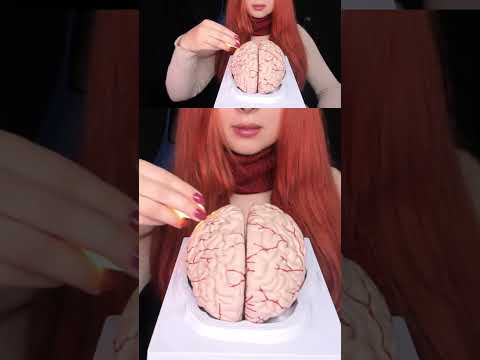 ASMR 🧠 BRAIN TINGLES WITH MAGIC FINGER #relaxingtriggers #asmr