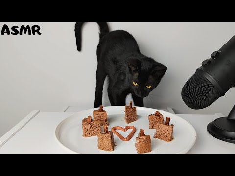 Kitten eating Pate, Stick & Creamy Treats ASMR