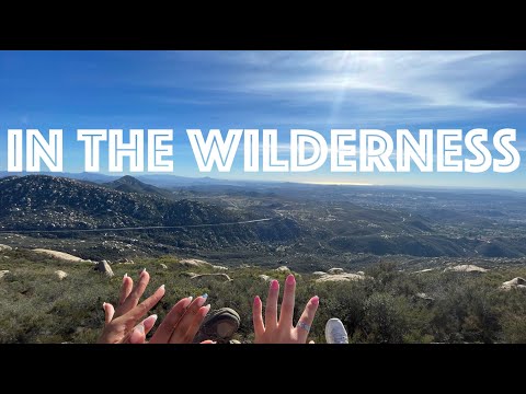 ASMR: In The Wilderness 🌲