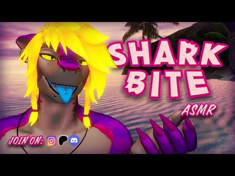 🦈Furry Shark Noms ASMR!🦈 [FURRY ASMR] [Ambiance] [Sleep] [MouthSounds]