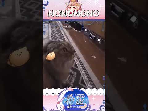 NO NO貓貓 #shorts #台v #vtuber #台灣VTuber