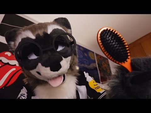 [Furry ASMR] Brushing Your Fur with a Brush and my Paws 🦝 | Fursuit Tingles