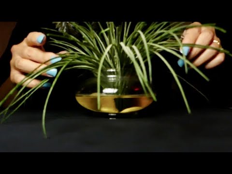 ASMR Thrifted (Apologies for the camera setting/lighting, I was experimenting)