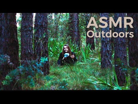 ASMR Outdoors 1.8 - Pine Forest