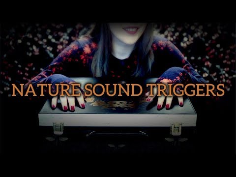 ASMR 1 Hour Sound Assortment Triggers 🍂 Nature 🍂(Whispers)