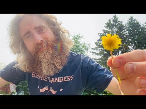 ASMR🤪for When You’re Tired of Being Normal🤪A Ludicrous Speed Pho-nix Transmission