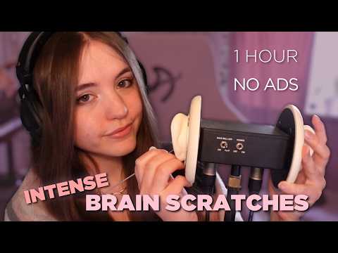1 HOUR INTENSE ASMR BRAIN SCRATCHES 💤 NO ADS