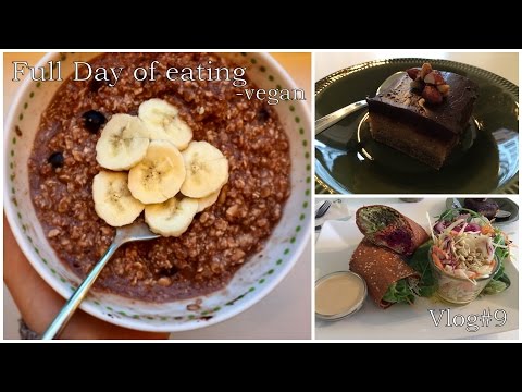 Vlog #9 +Full Day of eating | Für ein Cafe ganz nach Schweden fahren? | vegan