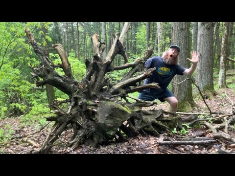 ASMR🧌But I live under a tree in the forest🧌