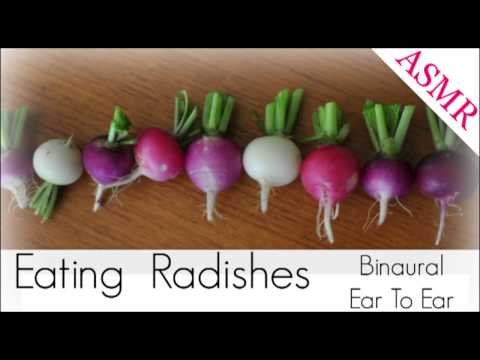 Binaural ASMR Eating Radishes l Crunchy Sounds & Eating Sounds