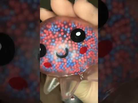 Asmr polvinho