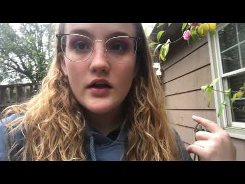 Corona Quarantine Vlog Day 12