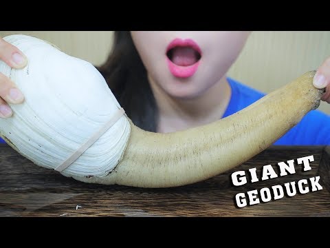 ASMR BOILED GIANT GEODUCK (EXOTIC FOOD) EXTREME EATING SOUNDS | LINH-ASMR