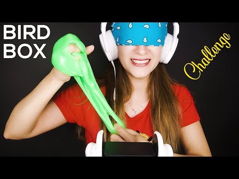 ASMR BIRD BOX CHALLENGE - Con los ojos vendados, dificilísimo | Asmr español | Asmr with Sasha