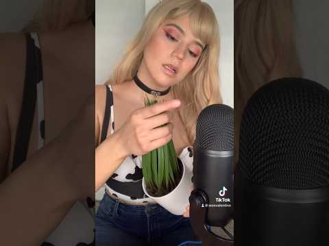 ASMR fake plant 🪴 #asmr #asmrsounds #asmrvideo #asmrvideo #foryou #fyp #of #tingles