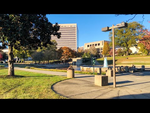 ASMR in Public | Triggers in the Park 🌳 | Leaf Crunching, Scratching, Tapping