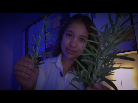 ASMR Limpeza Energética e Proteção Total com o Alecrim🌿Tirando sua dor, doença do corpo e da alma 🌿✨